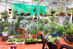 Nhà khương trung gần ô tô, lô góc, dt 66m, giá 5.5 tỷ.