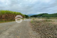 Bán đất khánh nam phù hợp thổ cư xây nhà vườn