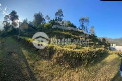 Tả phìn sapa nơi mọi người săn đón