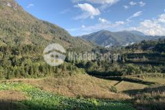 Đất nền sapa, đón sóng quy hoạch đất bán nhanh mảnh 800m2 tại tả phìn