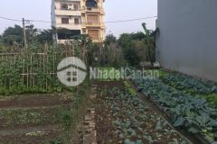 Cần bán 240m đất 18tỷ ngõ thông ôtô tránh đầu tư ngọc trì long biên