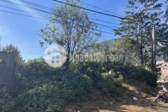 Nóng đón sóng quy hoạch bán mảnh 750m2 tại tả phìn, sapa