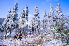 Siêu phẩm sa pa 2 vị trí đắc địa đón sóng đầu tiên tại y tý, ô tô vào tận đất