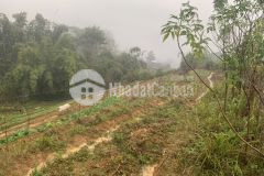 Gấp đón sóng quy hoạch bán mảnh đất 800m2 tại tả phìn