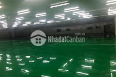 Nhanh tay nhà xưởng cho thuê 300 3000m2 kcn yên phong, bắc ninh.