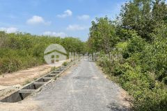 Bán lô đất nhà vườn 2 sổ riêng biệt 1000m2