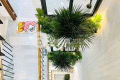 Bán nhà hẻm 220 hoàng hoa thám, hẻm rộng 6m, 58m2, giá chào 6.5 tỷ tl