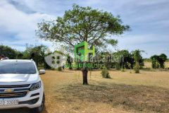 Bán lô đất thị trấn chợ lầu 4800m2 giá bán 130.000đm2, cách biển 4km, lh 0937251240