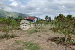 Bán vườn xoài suối cát cam lâm khu dân cư