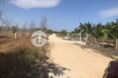 Bán 15x70m đường số 1, 3,5 tỷ tân bình, thị xã lagi, bình thuận