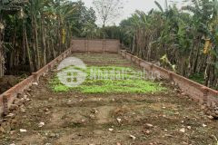 Bán đất xã đại yên chương mỹ hà nội.dt 147,3m2.mt 6m.ô tô vào đất.giá1,750 tỷ.