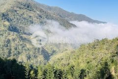 Đón sóng du lịch sapa, bán siêu phẩm đất 750m2 tại tả phìn