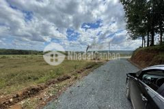 Bán đất hớn quản bình phước 3 mặt tiền giá chỉ 520tr