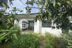 Bán biệt thự nhà vườn xã diên hoà, cách hl62 chỉ 400m. dt gần 1ha giá 6.3 tỷ