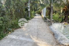 2 nền đất phước thạnh, full thổ chỉ 570 triệu