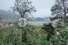 Điểm cao tả phìn, sapa đón sóng du lịch bán mảnh đất 290m2