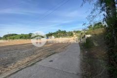 Đất kiệt 156 dạ lê, thuỷ phương, chỉ 900triệu diện tích 80m2 ngang 4,76m