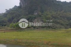 Bán gấp đất lương sơn, hòa bình 2000m2, giá 2,4 tỷ