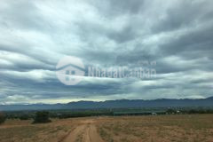 Duy nhất 1 lô hơn 8000m2 gần cổng sau safari rạng đông, giá chốt trước tết 963 triệu. 0919626750