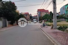 Bán gấp mảnh đất đấu giá siêu đẹp tại thôn tô khê, phú thị, gia lâm. kinh doanh siêu đỉnh