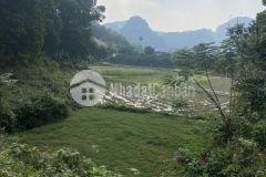 Đất lương sơn, hòa bình 5364m2, giá 5,8 tỷ