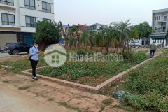 Chính chủ cần bán đất đấu giá nguyên khê đông anh, hà nội