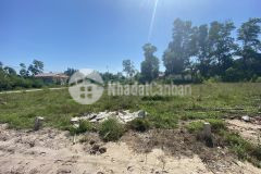 Đất nguyễn trọng thuật, thuỷ lương giá 970 triệu diện tích 64.5m2 4.3m x 15m.