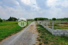 Bán đất củ chi đường nhà nước sổ hồng riêng 1200m2