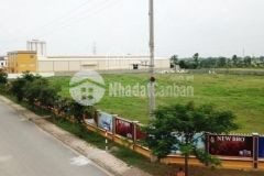 Chuyển nhượng 10.000m2 đất tại kcn phú nghĩa