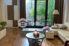 Nhà phân lô tt ba đình ảnh thật 2 mặt ngõ ô tô, kinh doanh, dt 95m 5 tầng mt 5m 15.8 tỷ.