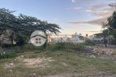 Cần bán nhanh miếng đất 500m2 ở hóc môn giá 1 tỷ 7