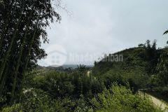 Đón sóng du lịch tìm nhà đầu tư tiềm năng cho mảnh đất tại tả phìn