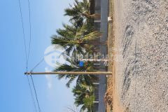 Còn 1 lô vị trí cực đẹp đường nhà nước tphcm