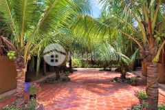 Vườn dừa 1000m2 kế khu công nghiệp bàu trăn hcm