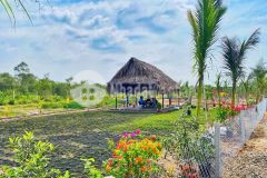 Nhà vườn huyện củ chi 1100m2 giá chỉ 1tỉ 350.