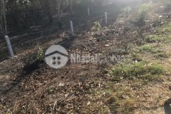 Bán 15x30 290 triệu m ngang võ văn tần dt 709, tân tiến, lagi