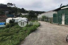 D1117 cần bán đất hẻm ô tô đường vạn thành phường 5 tp đà lạt.