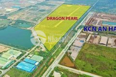 Dự án dragon pear nằm ngay tỉnh lộ 10 xã đức hòa đông chính thức nhận booking giai đoạn 2