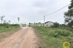 Đât thi trân ai tư triêu phong quang tri