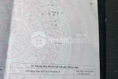 Bán đất lương yến 8 x 16m ngõ 12 đường rộng nhất và đi thẳng lệ kỳ