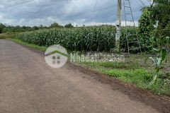 D700 bán 8,2 sào đất hoà xuân cách kcn hòa phú 8.5km