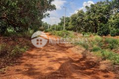 Bán đất hớn quản đường dt 757 diện tích 1000m2 giá chỉ 450tr