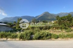 Thanh khoản lô đất thuộc khu cầu mây, sử pán, sapa