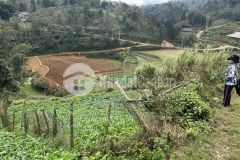 Đón sóng quy hoạch chính chủ bán nhanh mảnh đất 400m2 tại sapa