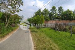 Tôi cần bán 1500m2 đất vườn củ chi đường bà thiên, sổ hồng riêng