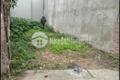 Bán đất thổ cư thôn đại tự, kim chung 37.1m2