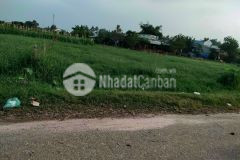 Cần bán nhanh miếng đất vườn hơn 800m2 ở hóc môn