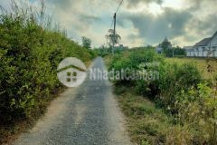 Cần bán nền thổ cư 100 115m2 khóm 4 phường 5, thành phố trà vinh