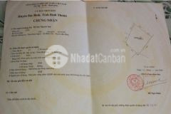 Bán đất xã bình tân bình thuận 9390m2