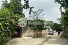 Cần bán 595m có 382m thổ cư, mặt tiền 15m, đường bê tông rộng